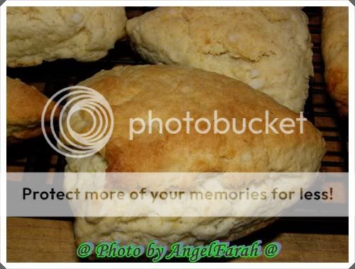 Damons School Play Vanilla Bean Scones Star Bucks Copycat