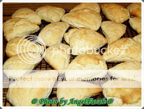Damons School Play Vanilla Bean Scones Star Bucks Copycat