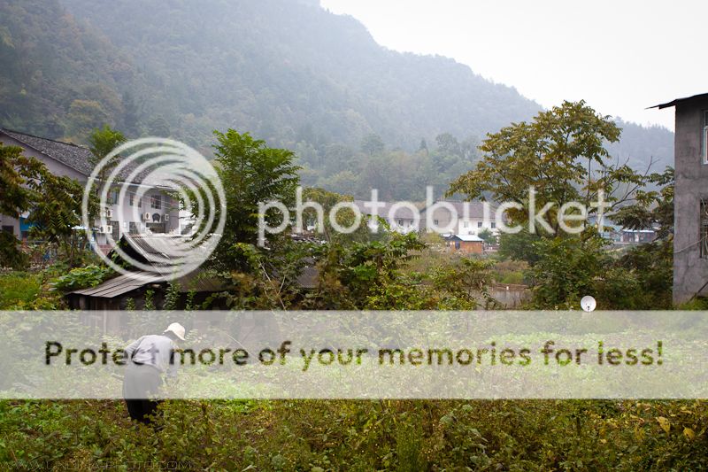 photo IMG_1903_zpsed95ddd4.jpg