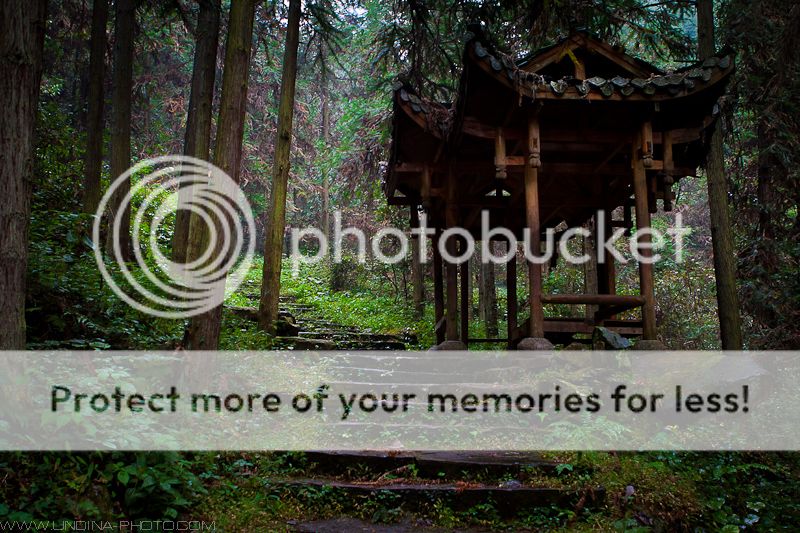 photo IMG_2359_zps2299a65c.jpg