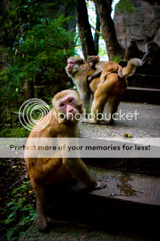 photo IMG_2938_zps40d0b9a0.jpg