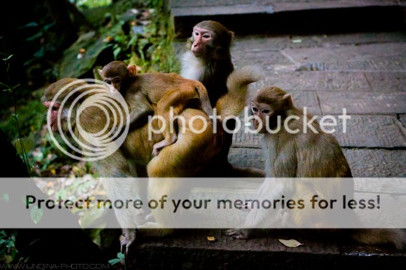 photo IMG_2978_zps9465d763.jpg