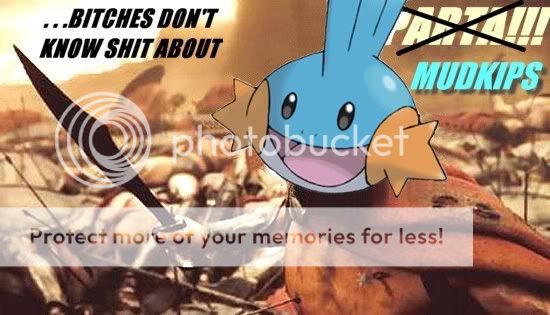 300_MUDKIPS.jpg