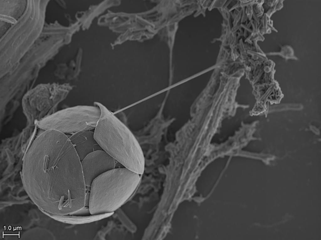 RW03_zps2ad94954.jpg