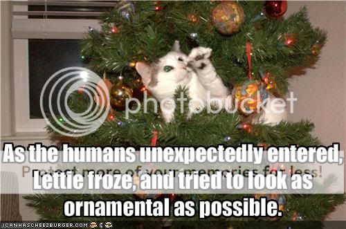 funny-pictures-cat-in-tree-tries-to-look-ornamental.jpg