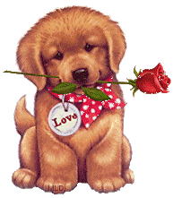 San valentino