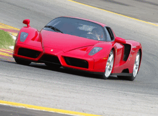 murcielago murcielago