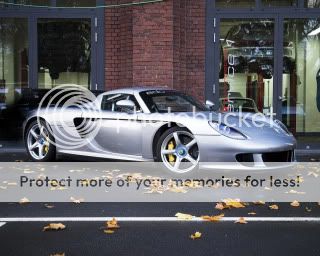murcielago murcielago