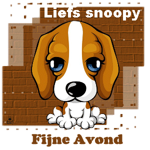 fijne avond