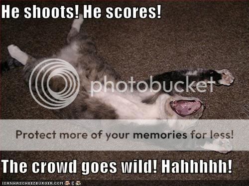 funny-pictures-kitten-is-amazing-at.jpg