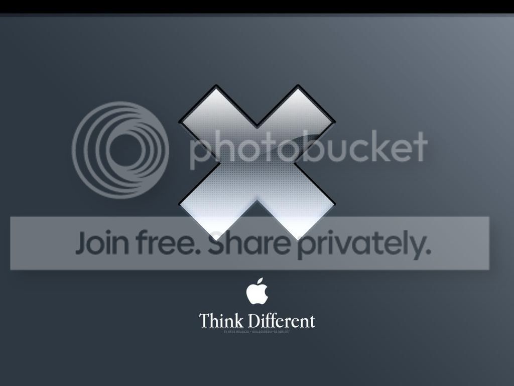 009767824.jpg